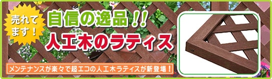 �͹��ڳʻҥ�ƥ���